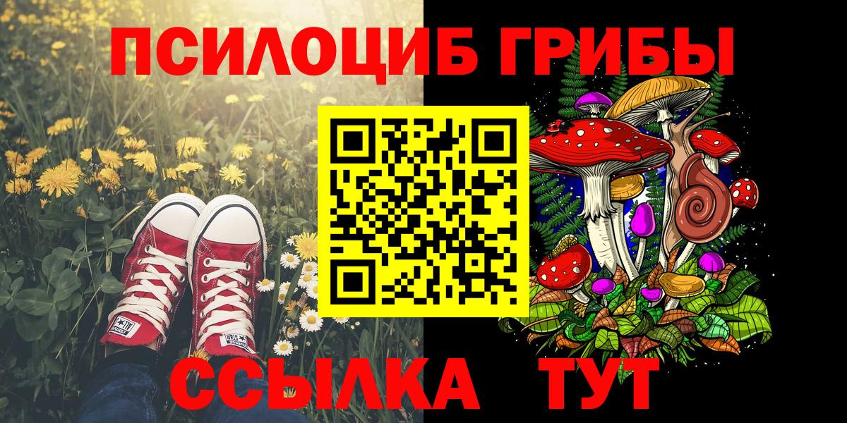 Ноябрьск  дарнет шоп  Вход с VPN  Галлюциногенные грибы мицелий 