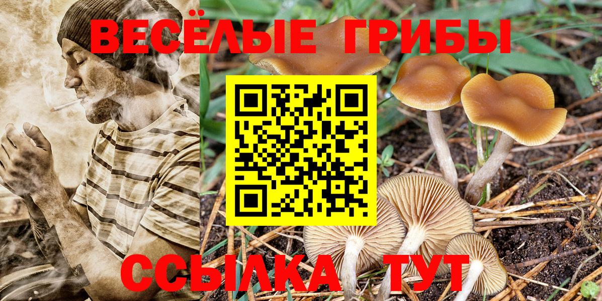 Галлюциногенные грибы мухоморы Ноябрьск
